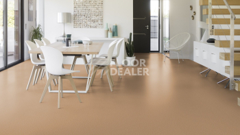 Gerflor Taralay Initial Compact (Plain & allover look) 0954 Spider Dore фото 2 | FLOORDEALER